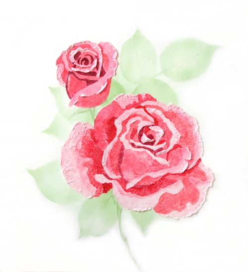 Rose Multi-Colour Stencil